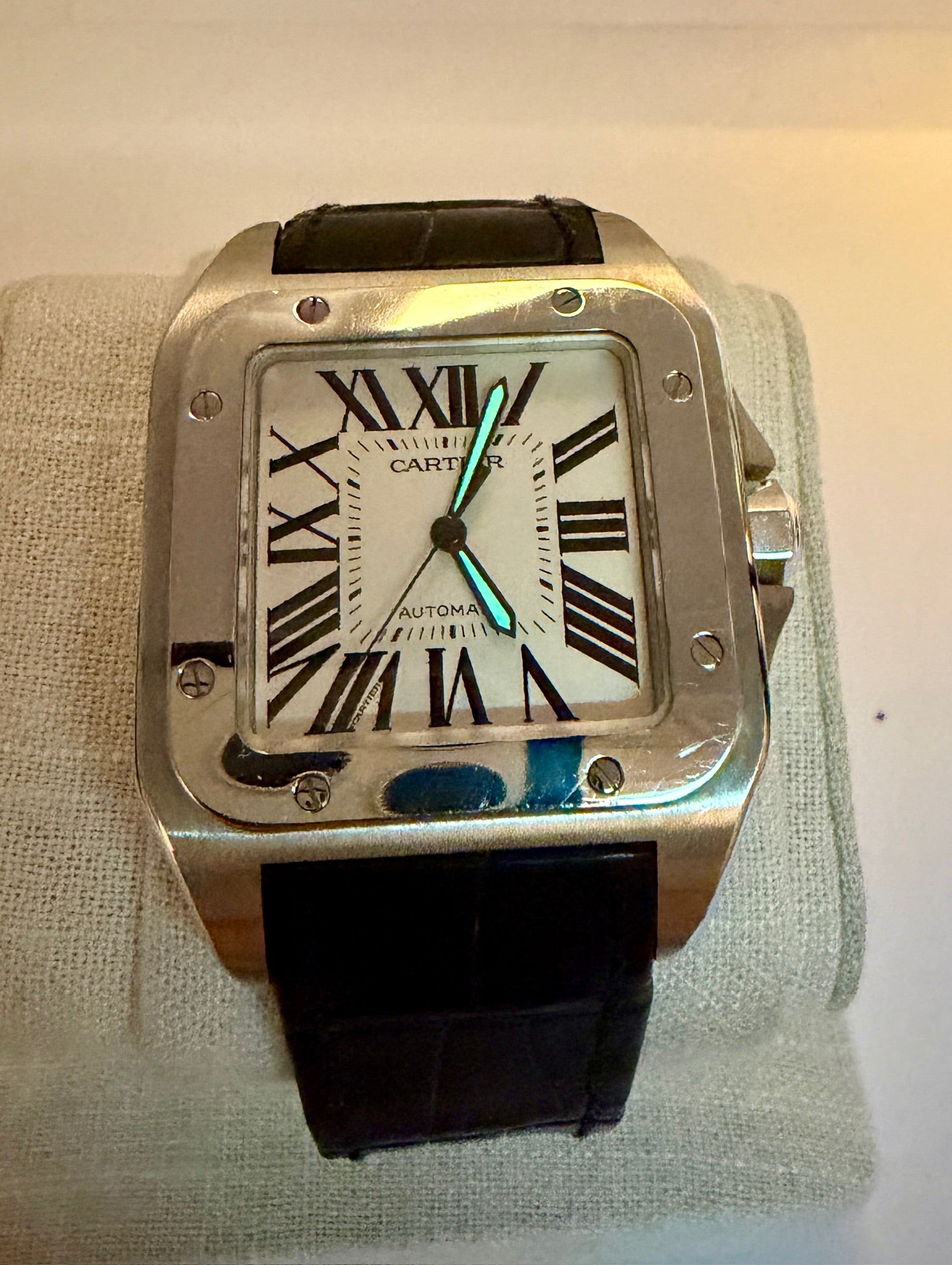 Case #426 — Cartier SA Santos 100 Ref. W20073X8