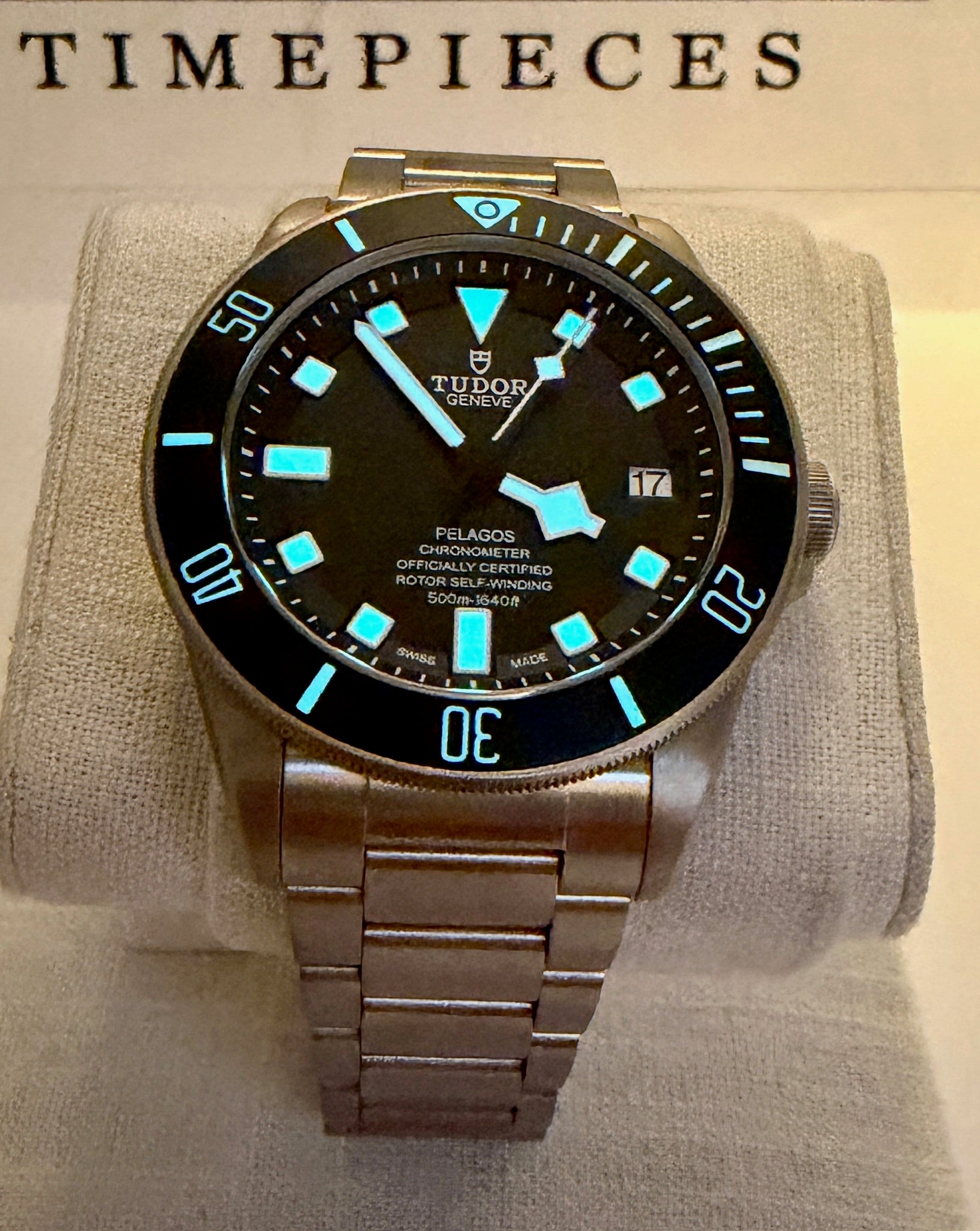 Case #482 — Tudor Pelagos Black Ref. M25600TN