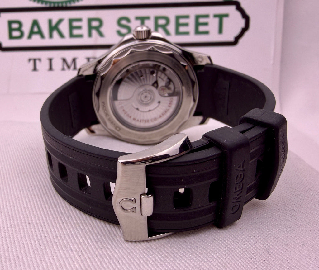 Case #516 — Omega Seamaster Professional White Dial on Rubber Strap Ref. 210.32.42.20.04.001