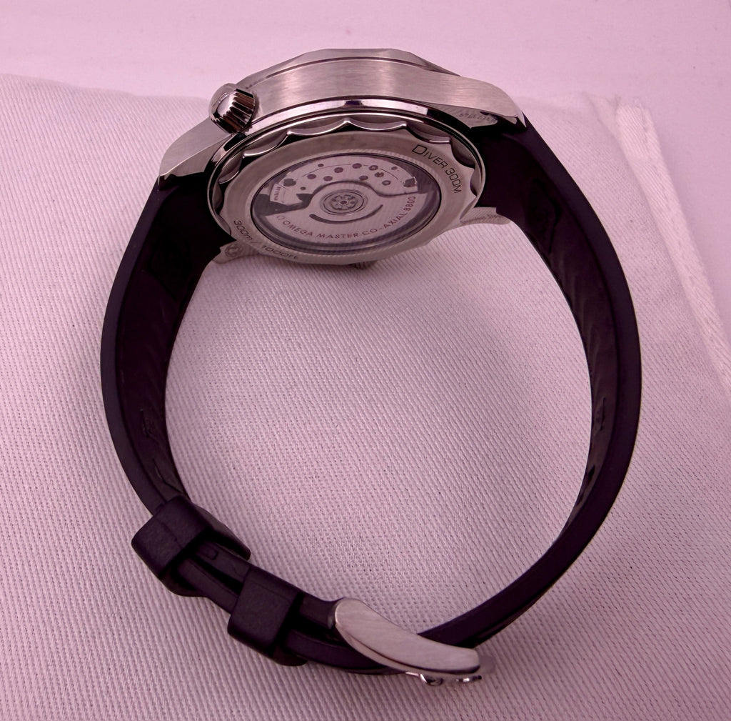 Case #516 — Omega Seamaster Professional White Dial on Rubber Strap Ref. 210.32.42.20.04.001