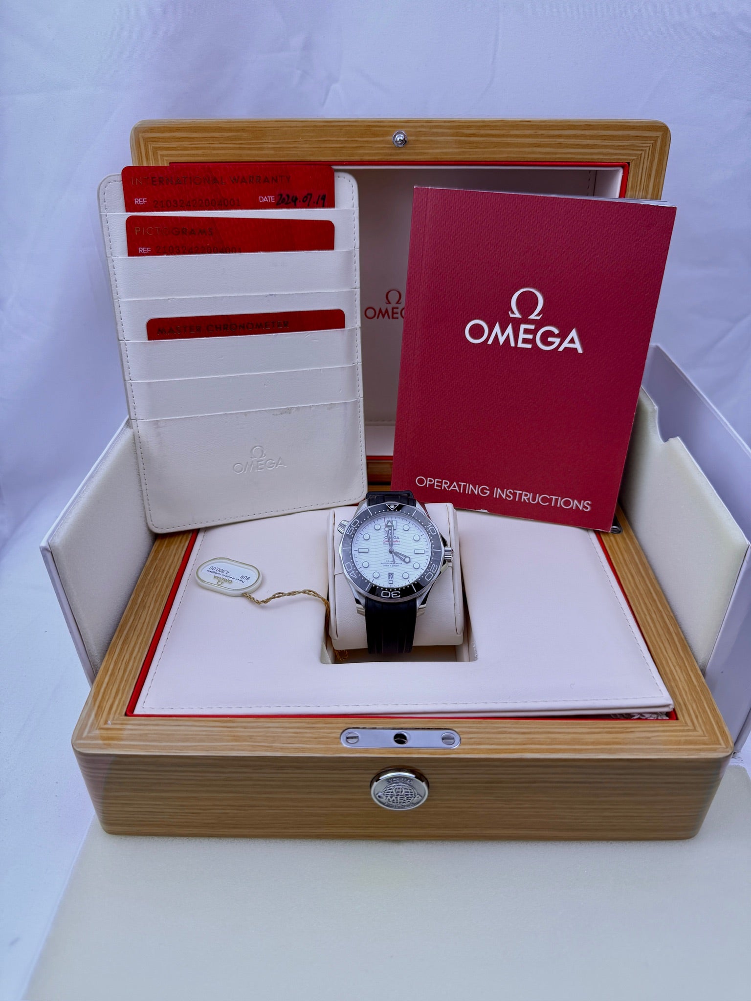 Case #516 — Omega Seamaster Professional White Dial on Rubber Strap Ref. 210.32.42.20.04.001