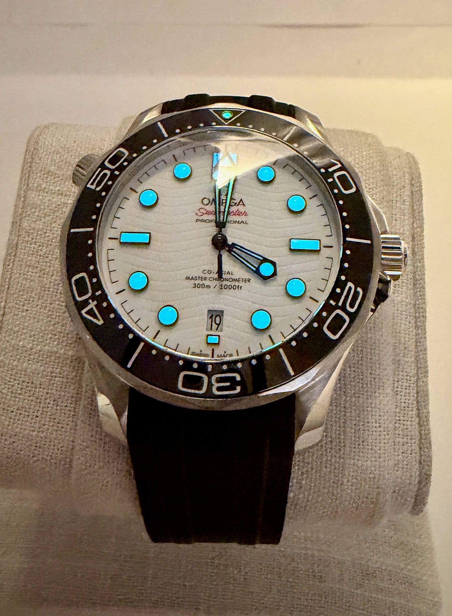 Case #516 — Omega Seamaster Professional White Dial on Rubber Strap Ref. 210.32.42.20.04.001