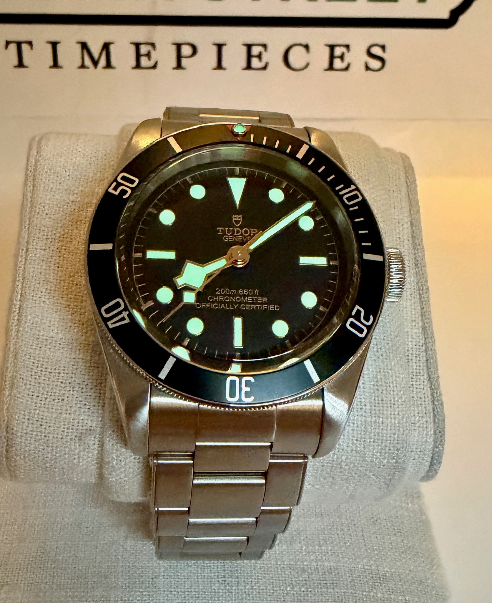 Case #518 — Tudor Black Bay Heritage Black Ref. 79230N