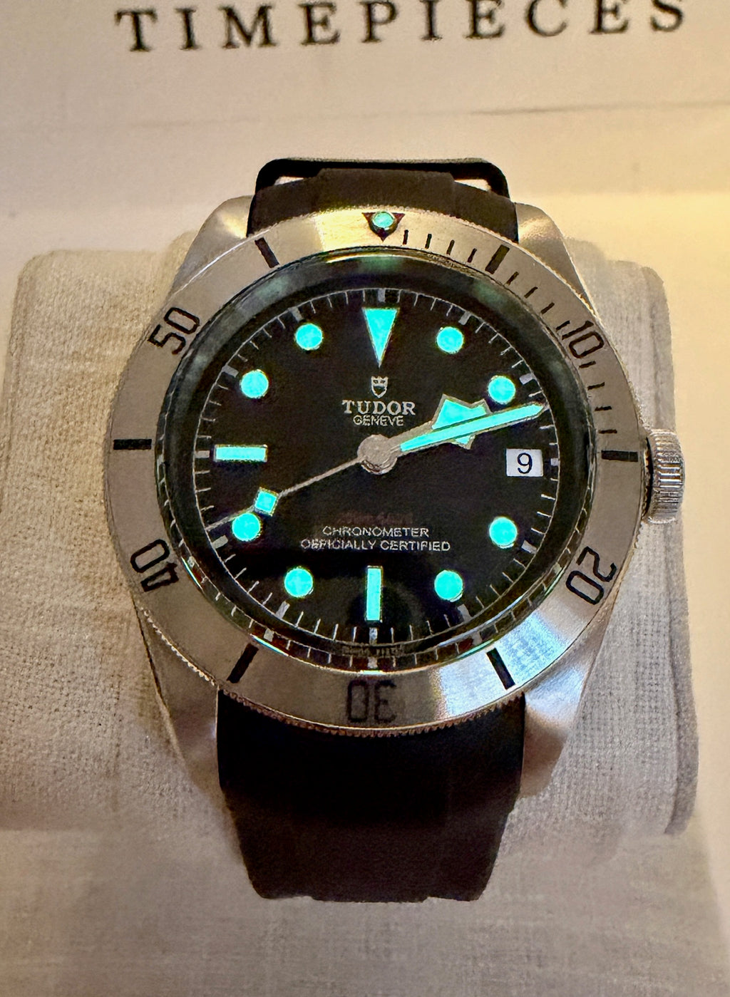 Case #536 — Tudor Black Bay Heritage 41MM Steel on Rubber Ref. 79730