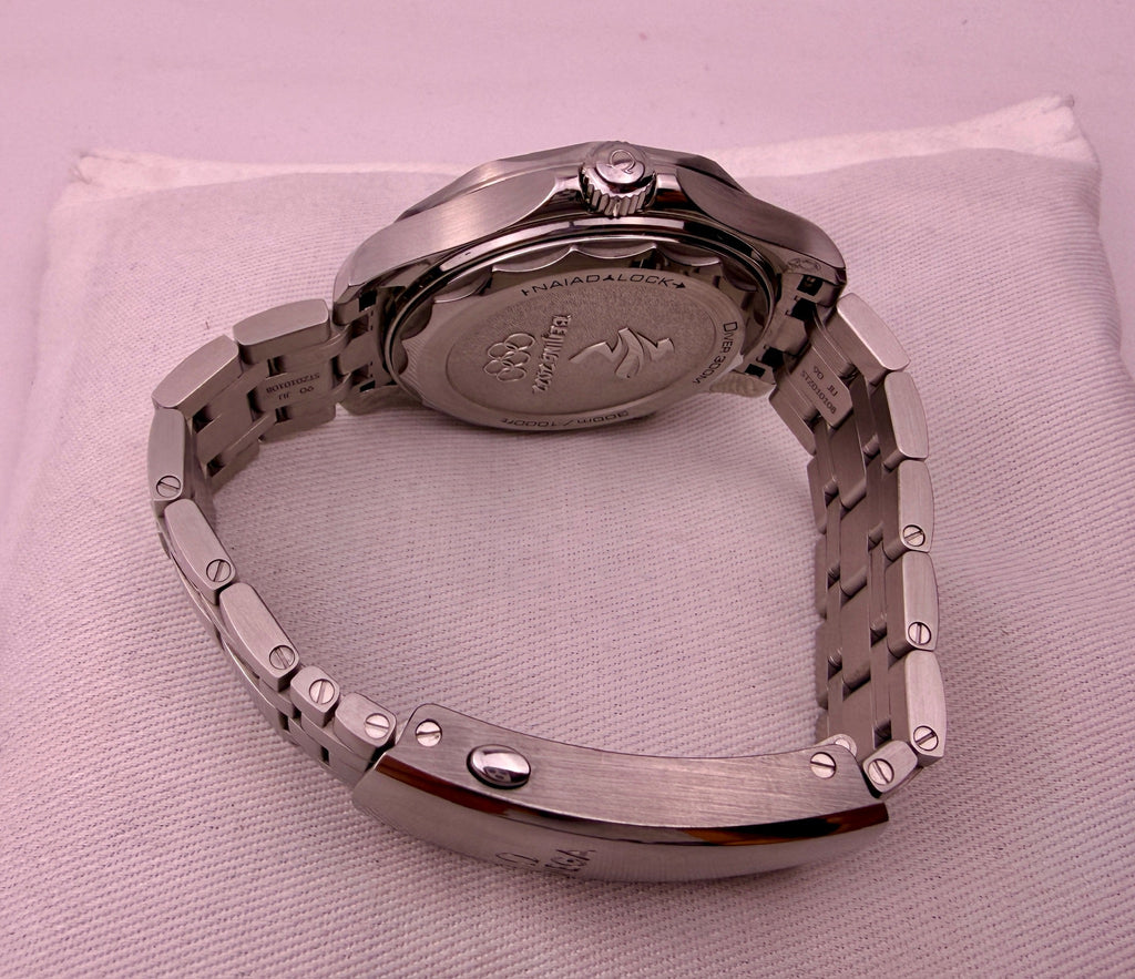 Case #578 — Omega Seamaster Diver 300M Beijing 2022 Special Edition Ref. 522.30.42.20.03.001