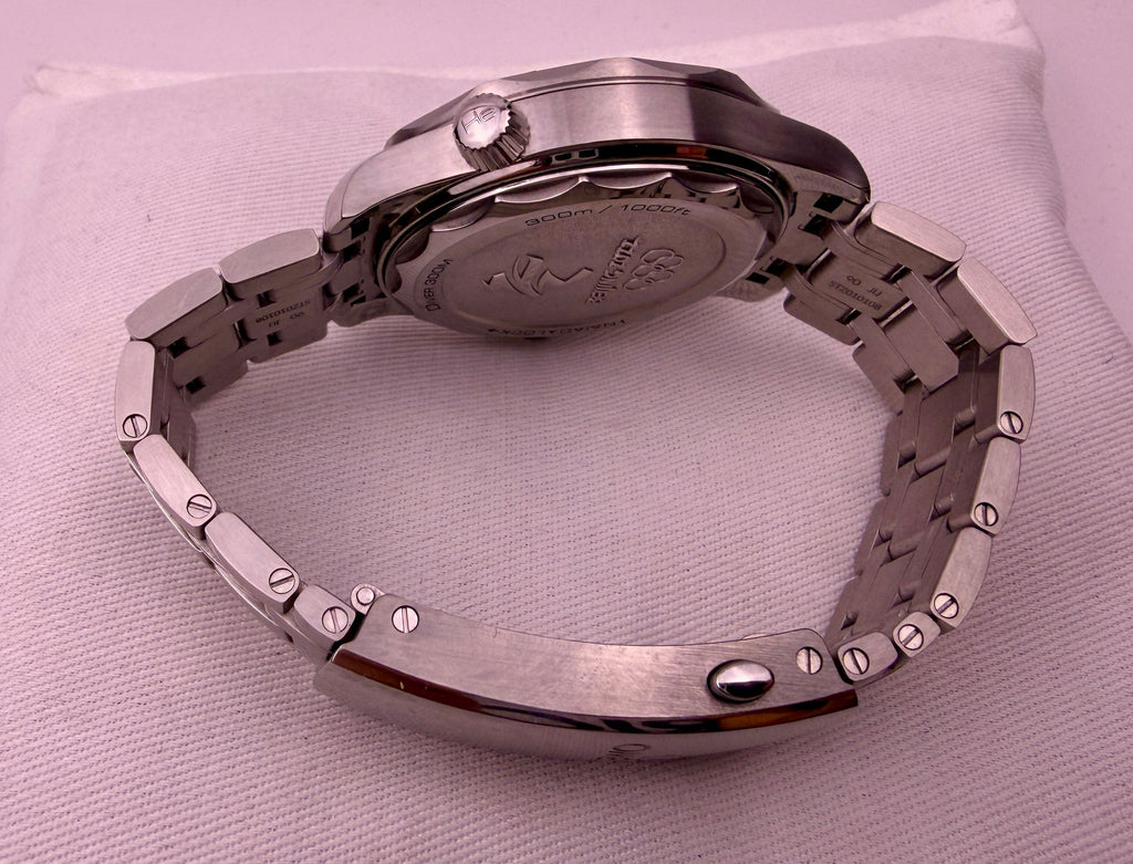 Case #578 — Omega Seamaster Diver 300M Beijing 2022 Special Edition Ref. 522.30.42.20.03.001