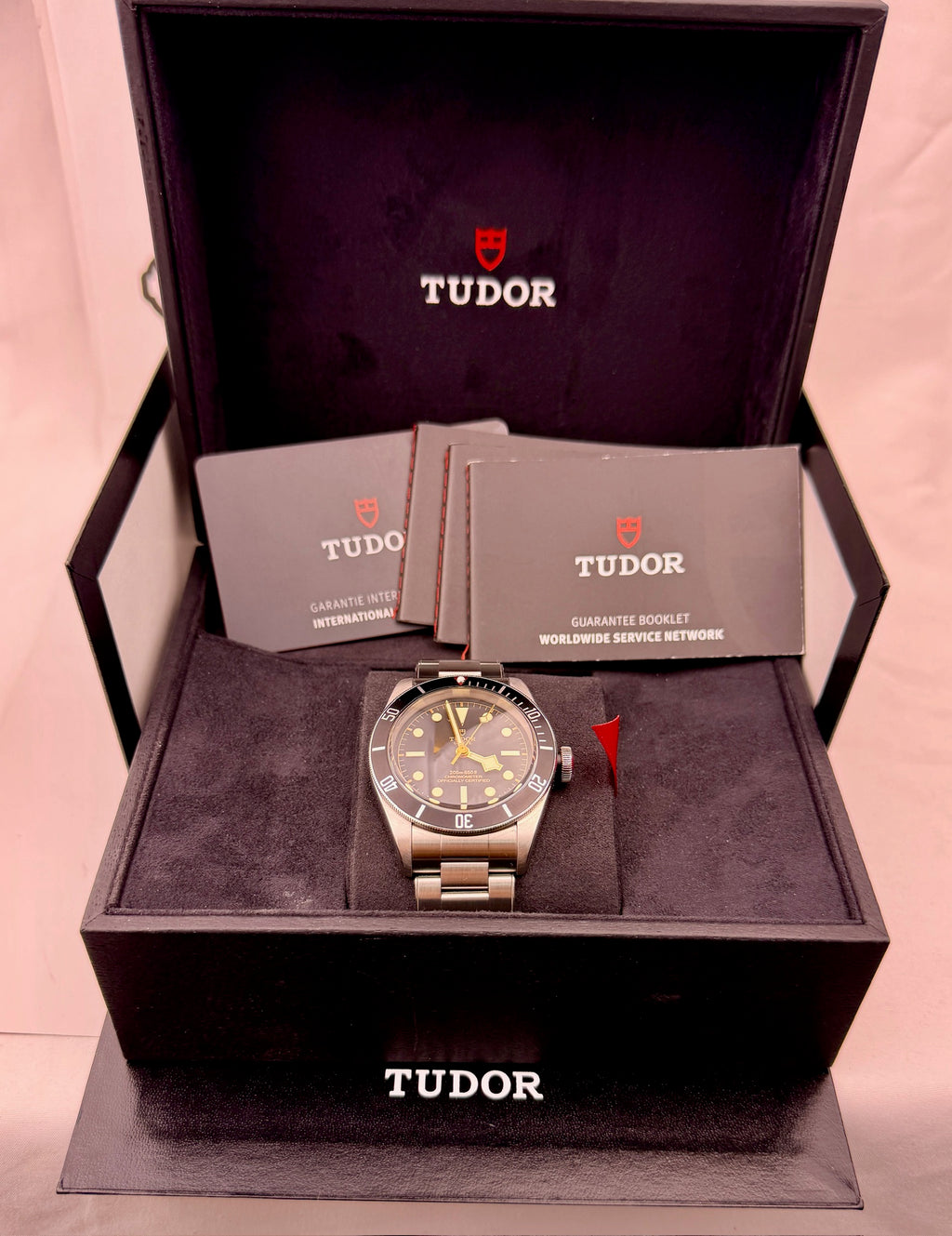 Case #570 — Tudor Black Bay 41 (Black) Ref. 79230N