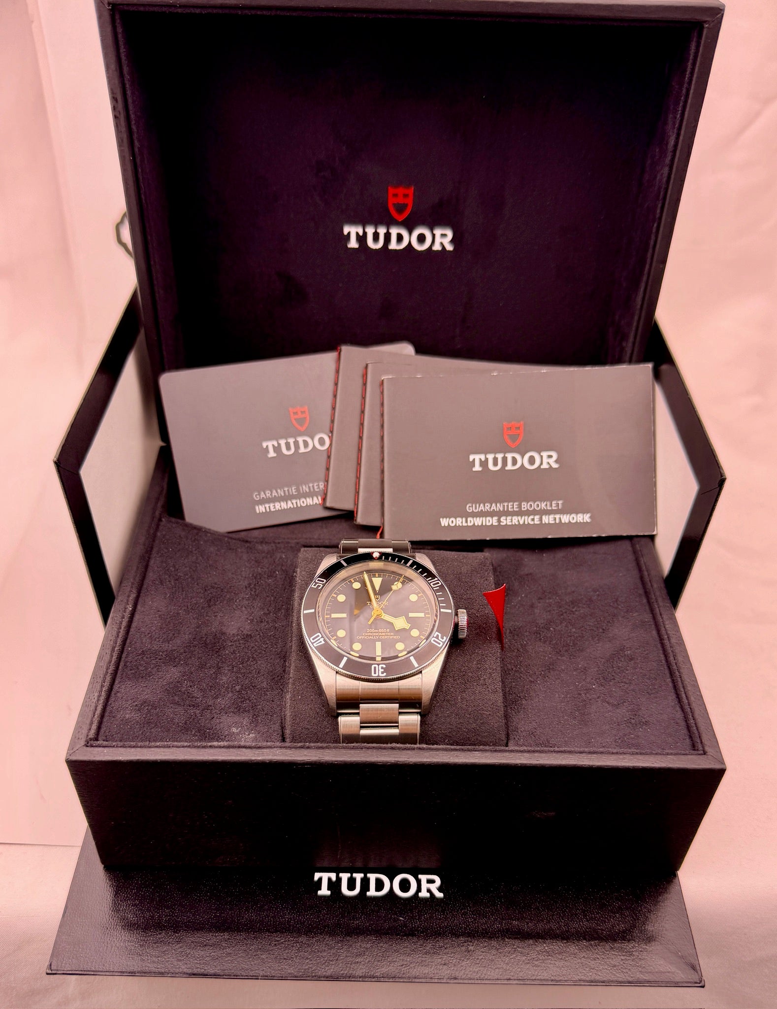 Case #570 — Tudor Black Bay 41 (Black) Ref. 79230N