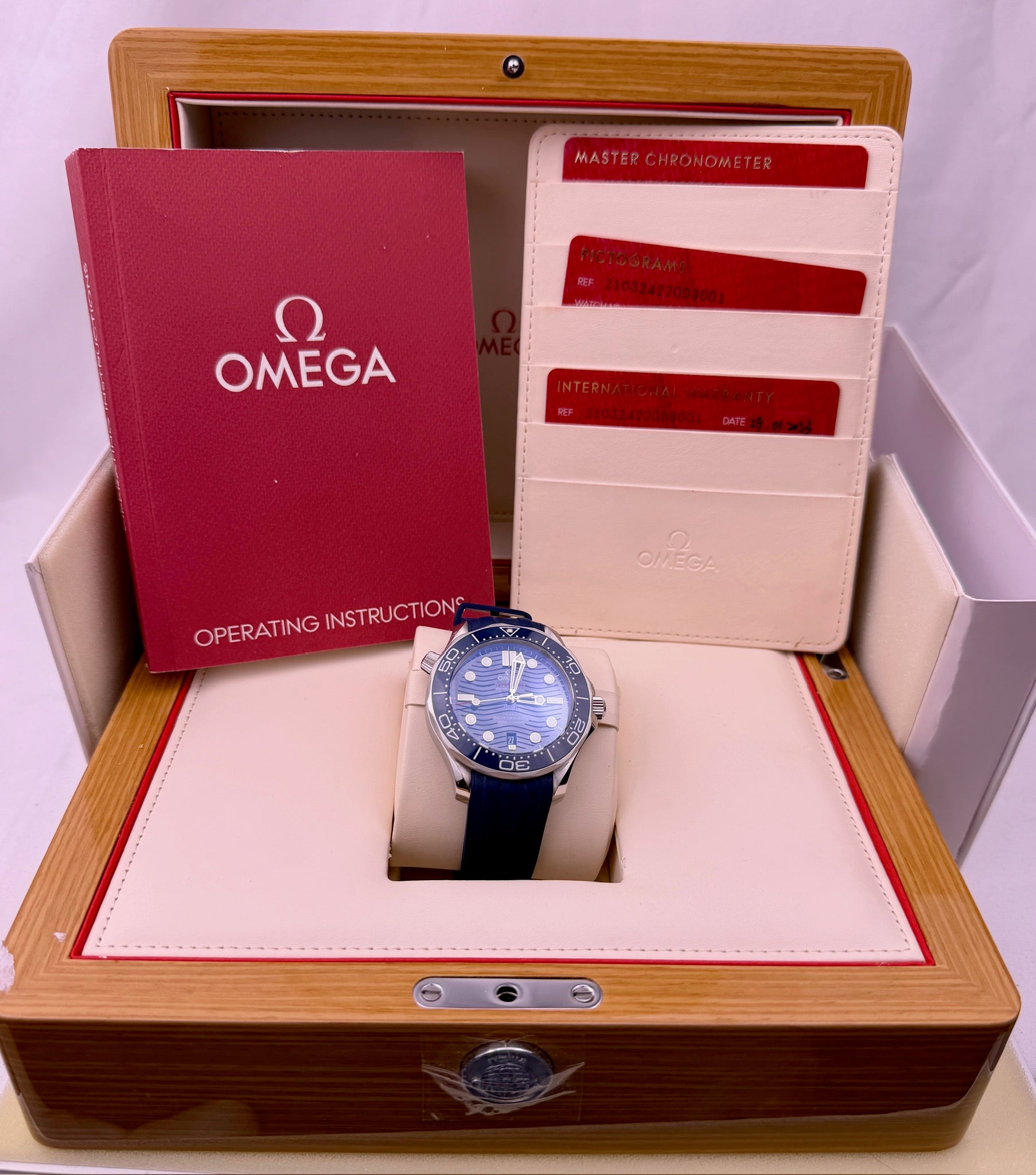 Case #616 — Omega Seamaster Professional Blue Wave on Rubber Ref. 210.32.42.20.03.001